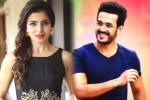 Samantha news, Agent, samantha and akhil to clash in august, Bollywood films