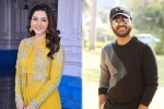 Sharwanand new film, Maruthi, mehrene to romance sharwanand, Express raja