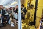 Singapore Airlines breaking, Singapore Airlines turbulence horror videos, one dead and 30 injured in singapore airlines turbulence horror, Bangkok