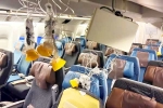 Singapore Airlines turbulence horror, Singapore Airlines turbulence, singapore airlines statement after turbulence horror, Singapore airlines turbulence