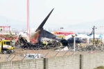 Pilot made ‘mayday’ call and mentioned bird strike in South Korea Plane Crash