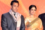 Sridevi new film, Salman Khan, sridevi to work with salman khan, English vinglish