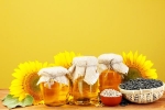 Sunflower Oil benefits, Sunflower Oil benefits, long term effects of consuming sunflower oil on heart health, Cooking oil