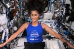 Sunita Williams, Sunita Williams bone weakness, indian origin astronaut sunita williams battling radiation and bone weakness, Spacex