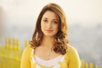 Tamannaah updates, Tamannaah, tamannaah locked for a bollywood remake, Milky beauty