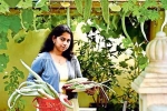 Qatar, NRI in Qatar, this nri in qatar keen on farming is going green, Ty morin