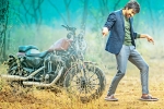 Touch Chesi Chudu, Raja Ravi news, ravi teja s touch chesi chudu, Bengal tiger