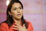 tulsi gabbard statement on lgbtq, tulsi gabbard height, tulsi gabbard apologizes for her past statement on lgbtq, Gay right