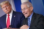 Donald Trump, Anthony Fauci, us could start reopening in may anthony fauci, Gasoline