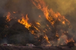 evacuation, wildfire, wild fire burns 2500 acres of land near eagar, Wild fire