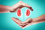 World Kidney Day 2025 experts, World Kidney Day 2025 health, world kidney day 2025 theme and health tips, Event