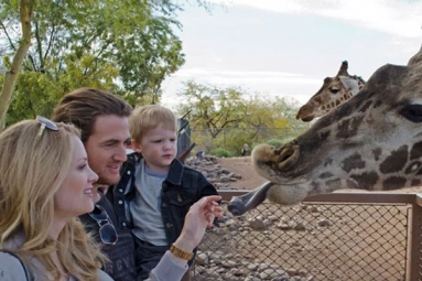 Zoo in Phoenix Gets Creative Keeping Its Critters Cool