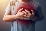 sudden heart attack healthy person, recovery after sudden cardiac death, difference between a heart attack and cardiac arrest, Heart muscle