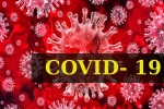 COVID- 19, COVID- 19, who renames the deadly coronavirus as covid 19, Swine flu