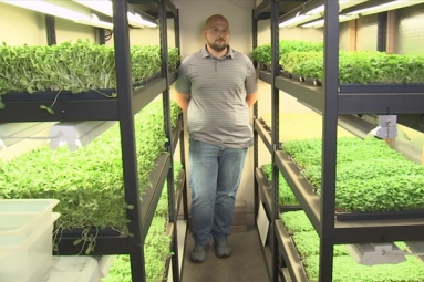 Two Mesa Men Takes Micro Farming To the Next Level