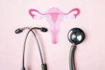 Cervix, Cervix updates, how to protect cervical health, Cervical cancer