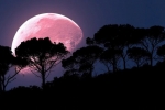 super pink moon, super pink moon, april s super pink moon to rise today biggest of the year, Astronomer