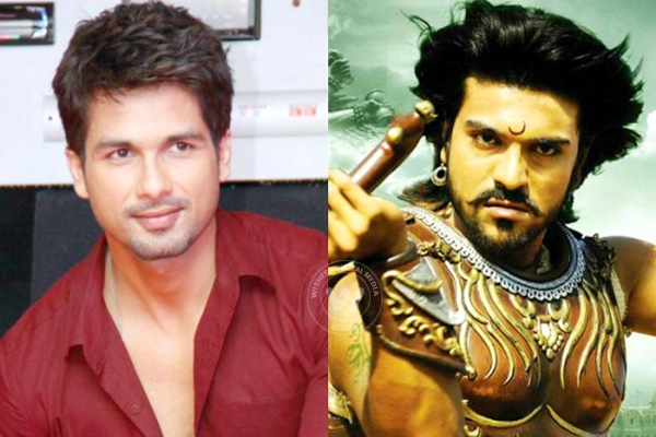 Hindi Magadheera’s Bhairava is Shahid Kapoor},{Hindi Magadheera’s Bhairava is Shahid Kapoor