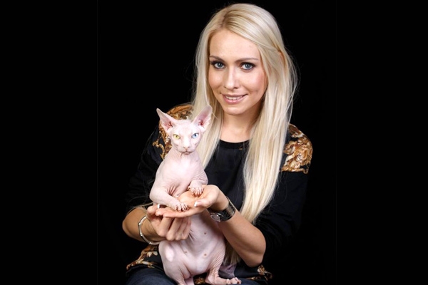 Sphynx cat has an eye for fashion},{Sphynx cat has an eye for fashion