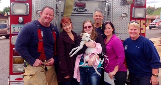 Firefighters rescue a pet pooch in Phoenix