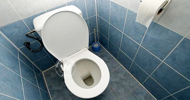 Bad prank: Woman superglued to a toilet seat