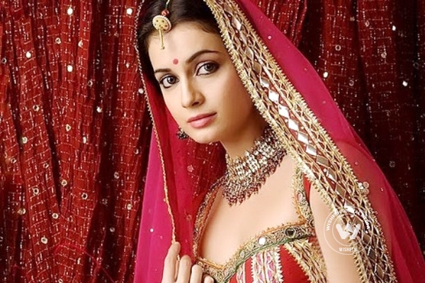 Dia Mirza&#039;s wedding postponed again},{Dia Mirza&#039;s wedding postponed again