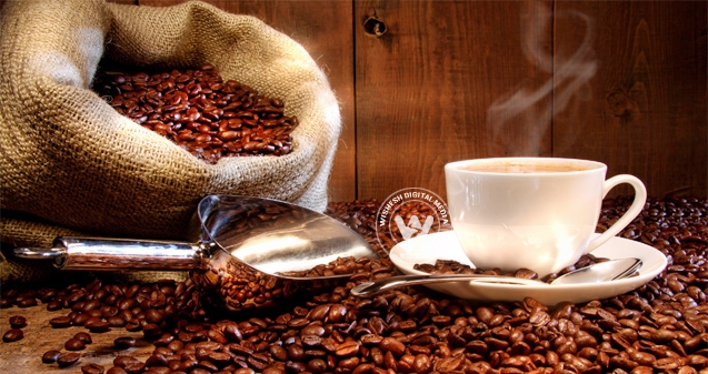 Coffee is your best defense against diabetes},{Coffee is your best defense against diabetes