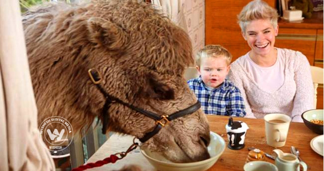 Look who this family has for their morning breakfast?